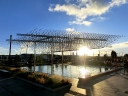 auckland (29)